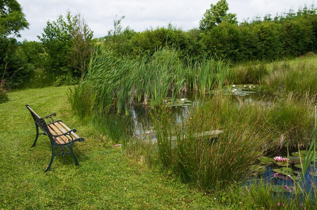 Lake Rise Holiday Home At Kilmaddaroe Carrick-on-Shannon Ruang foto